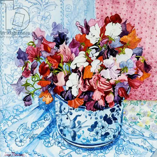 Thewsey, Joa: Sweet Peas in a Blue and White Pot