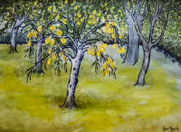 Thewsey, Joa: The Little Pear Tree, 2005
