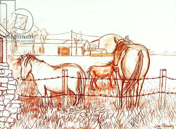 Thewsey, Joa: Serenade, Janie and a Donkey in the Meadow