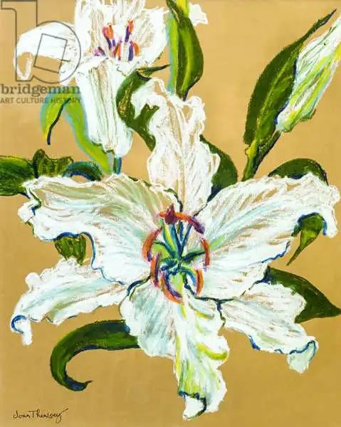 Thewsey, Joa: White lilies