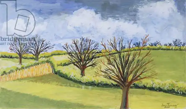 Thewsey, Joa: Suffolk Spring Sky