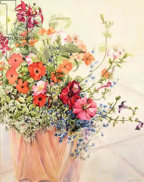 Thewsey, Joa: Pétunias, lobelias, lizzies occupées et Fuschia dans un pot en terre cuite