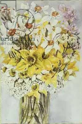 Thewsey, Joa: Jonquilles et narcissi