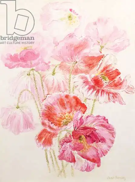 Thewsey, Joa: Coquelicots de Shirley