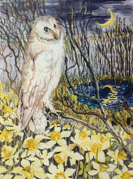 Thewsey, Joa: Owl
