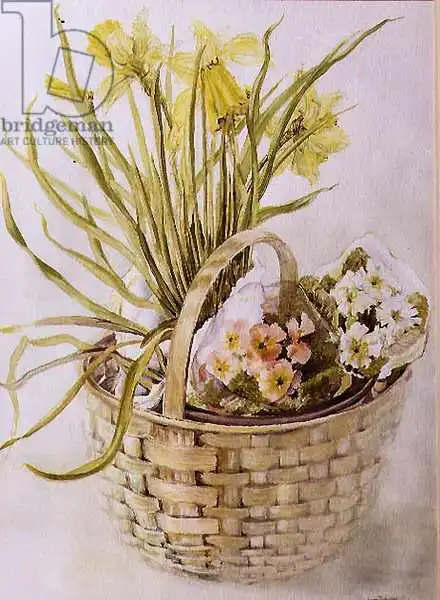 Thewsey, Joa: Cestino di narcisi