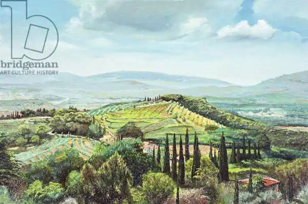 Neal, Trevor: Rolling Hills, Pistoia, Tuscany