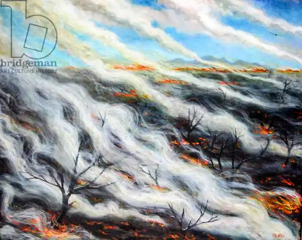 Willis, Till: Scorched Earth