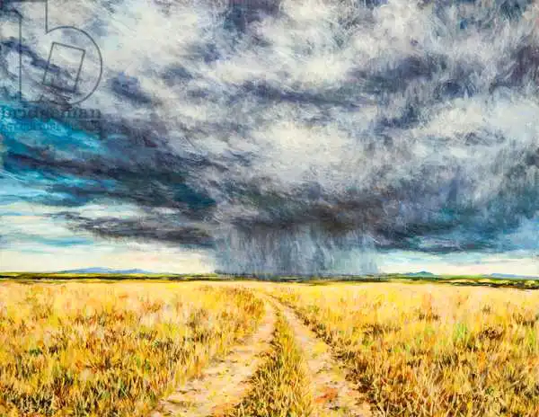 Willis, Till: Mara Storm