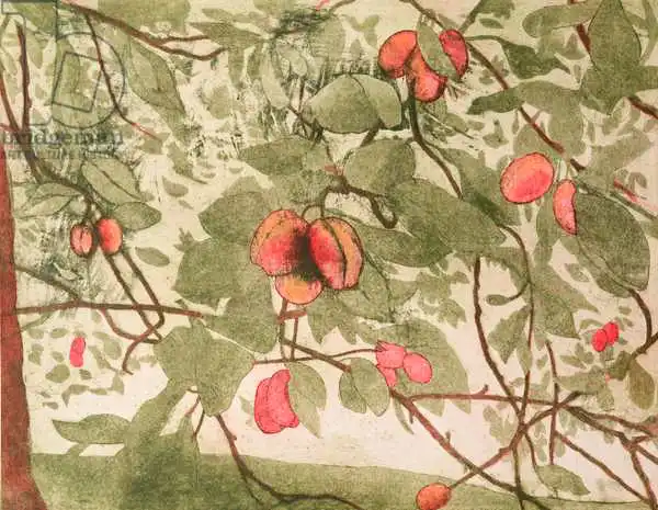 Daniel, Valerie: Plums