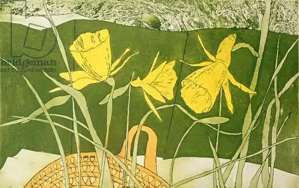 Daniel, Valerie: Daffodils