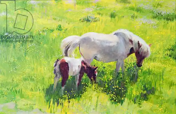 Ireland, William: Piebald horse and foal