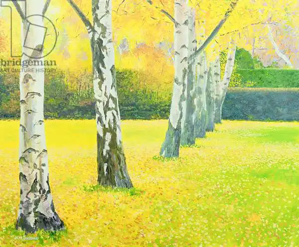 Ireland, William: Autumn Gold