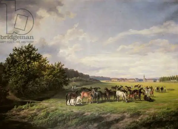 Schiffer, Anton: View of the Kladr...