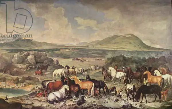 Hamilton, Johann Georg: The Imperial Stud with Lipizzaner Horses