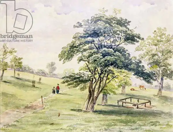 English school (19th century): Vista della parte nord di Hyde Park
