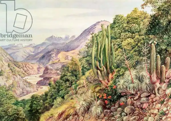 Unknown: Les ruisseaux de Languenas dans le Cordellera, Chili
