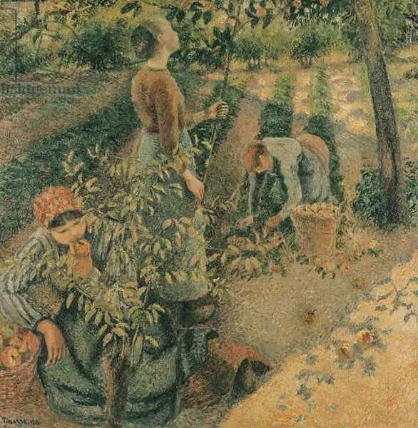 Pissarro, Camille: The Apple Pickers