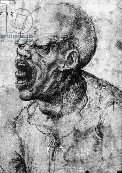 Vinci, Leonardo: Ritratto di un uomo che grida