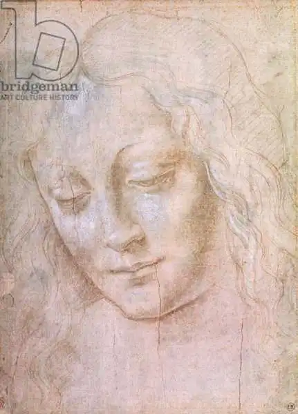 Vinci, Leonardo: Head of a woman