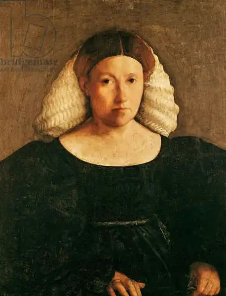 Dossi, Dosso: Portrait of a Woman with a White Hairnet
