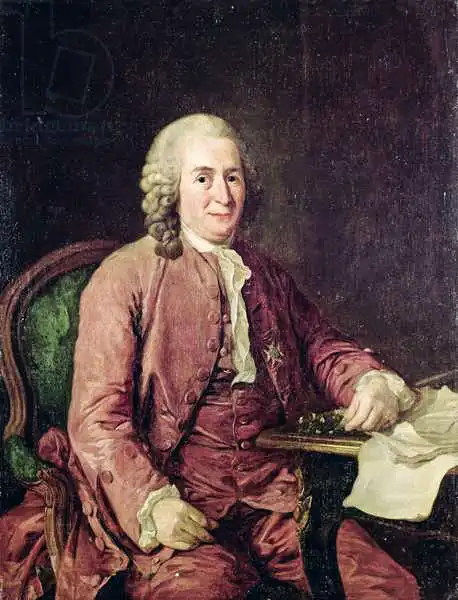 Roslin, Alexander: Portrait of Carl von Linnaeus (1707-78)