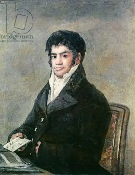 Goya, Francisco: Retrato de Don Francisco del Mazo