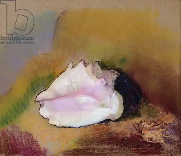 Redon, Odilon: The Shell