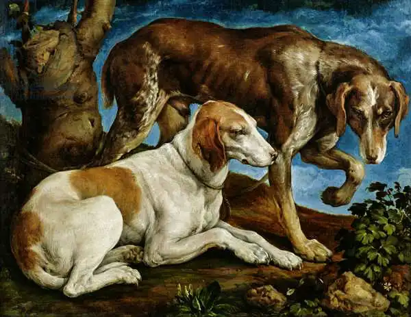 Bassano, Jacopo: Due cani da caccia legati a un ceppo, 1548-50 ca.