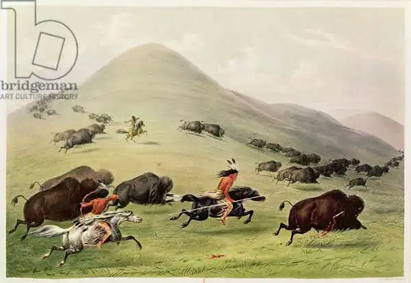 Catlin, George: Buffalo Hunt