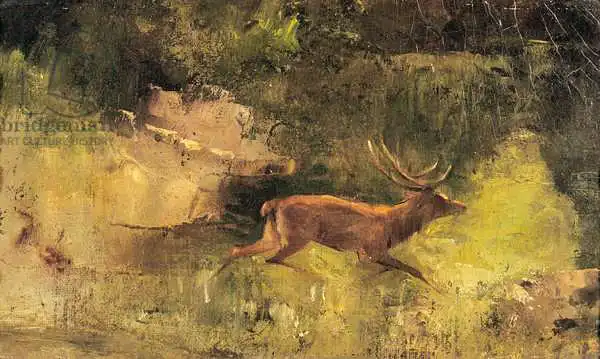 Courbet, Gustave: Stag Running through a Wood