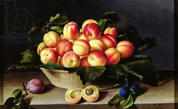 Moillon, Louise: Panier d