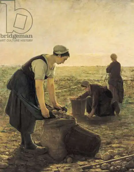 Masson, Ernest: The Potato Harvest