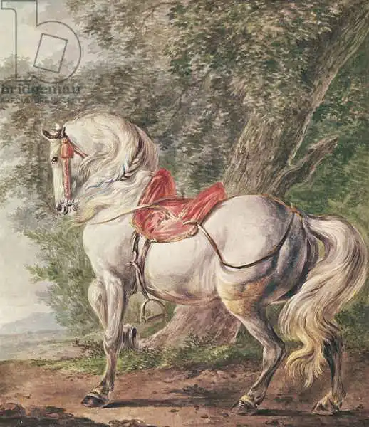 Wouwerman, Philips: White Horse