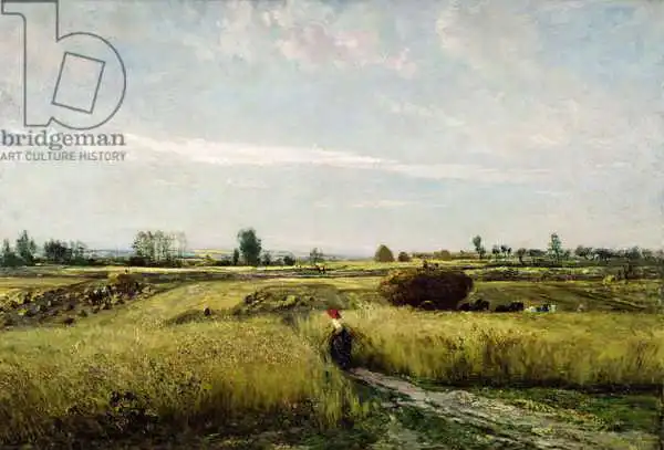 Daubigny, Charles-Francois: La moisson