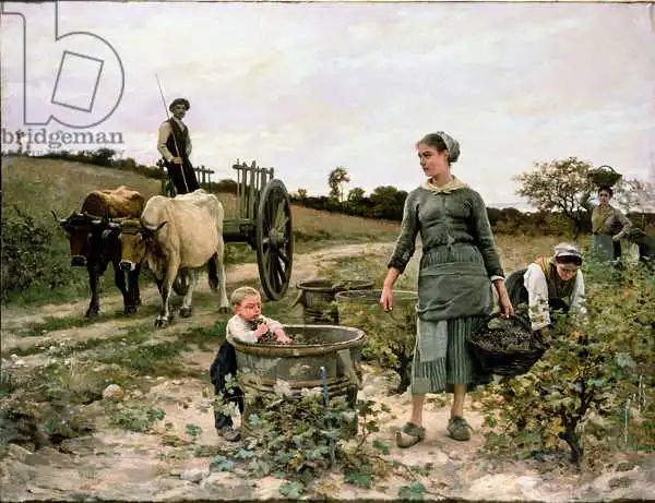 Debat-Ponsan, Edouard: Corner of a Vineyard, Languedoc