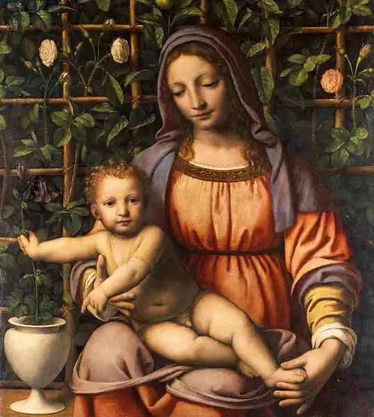 Luini, Bernardino: Virgin of the Rose Bush