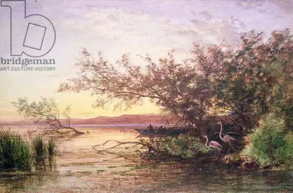 Ziem, Félix: Sunset, Camargue