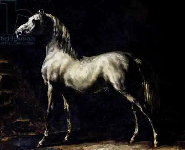 Géricault, Théodore: Study of a Dapple...