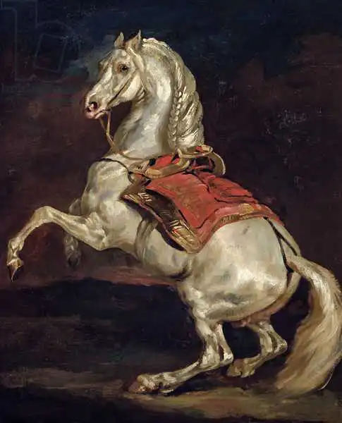 Géricault, Théodore: Napoleon