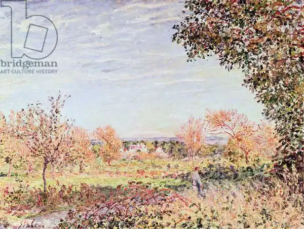 Sisley, Alfred: September Morning
