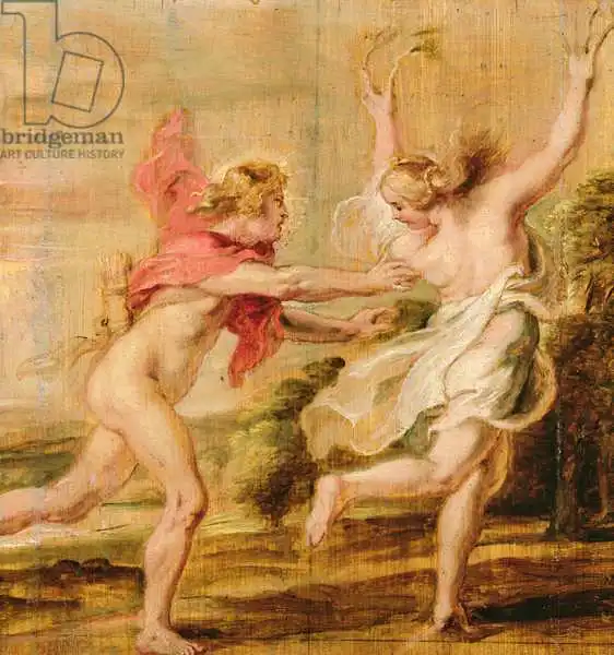 Rubens, Peter Paul: Apollo and Daphne