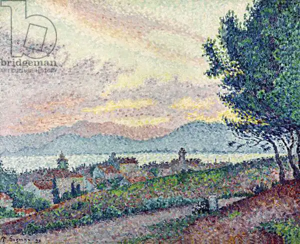 Signac, Paul: St. Tropez, Pinewood