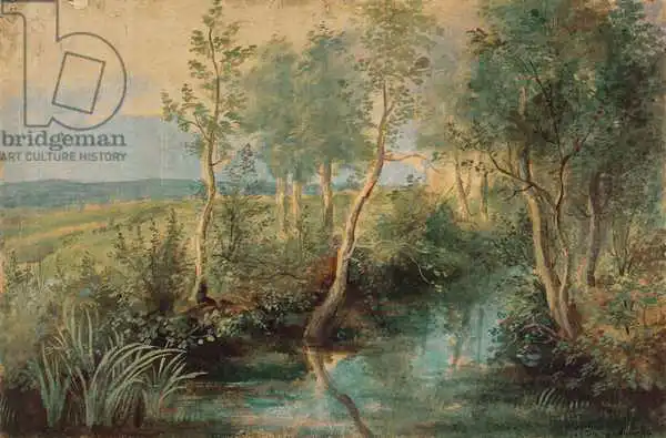 Rubens, Peter Paul: Krajina
