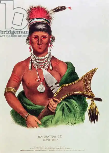 American school (19th century): Ap-Pa-Noo-Se, Saukie Chief