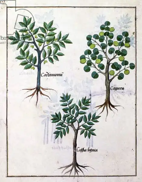 Testard, Robinet: Illustration from the 
