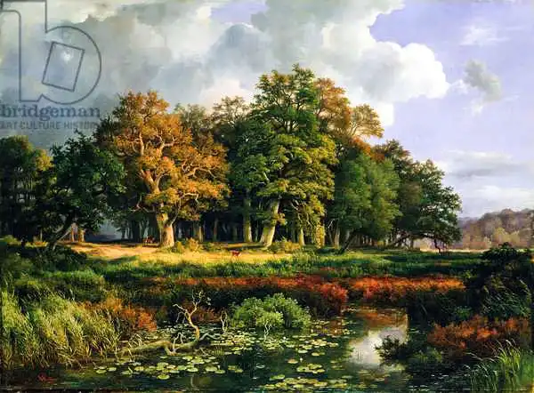 Vollmer, Adolf: The Stangenmuhlengrund in Sachsenwald