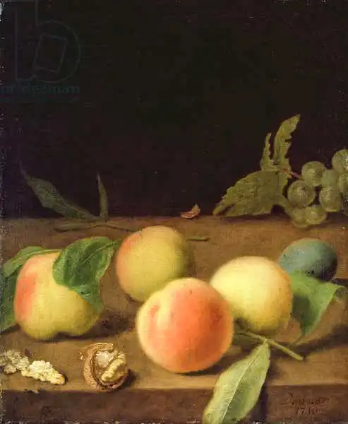 Denner, Balthasar: Fruit Still Life