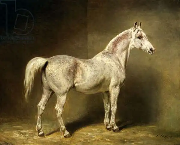 Steffeck, Carl Constantin: Beatrice