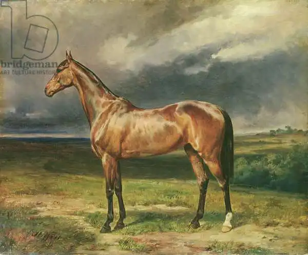 Steffeck, Carl Constantin: Abdul Medschid